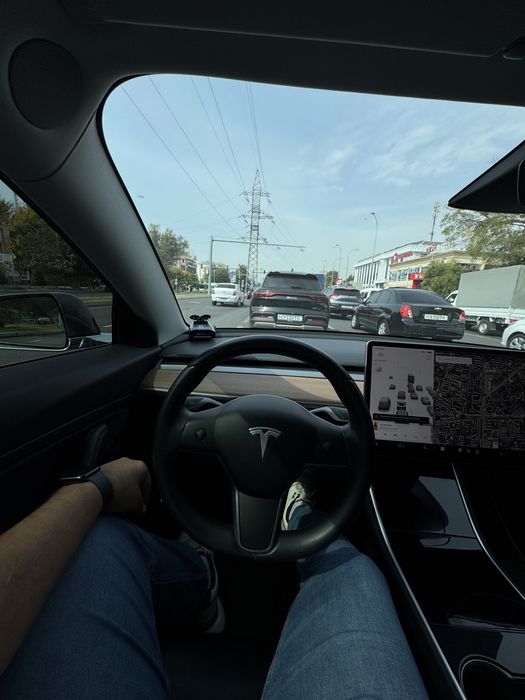 Tesla model 3 Standart Range Plus