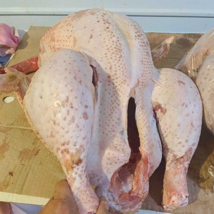 Мясо Домашнего Индюка, Утки, Бройлера, Индаутки