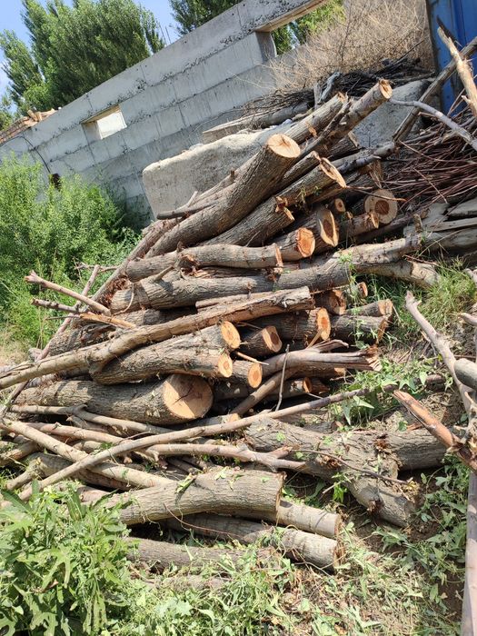 Quruq oʻtin. Qishda yoqish uchun juda qulay. Tol, tut va boshqa daraxt