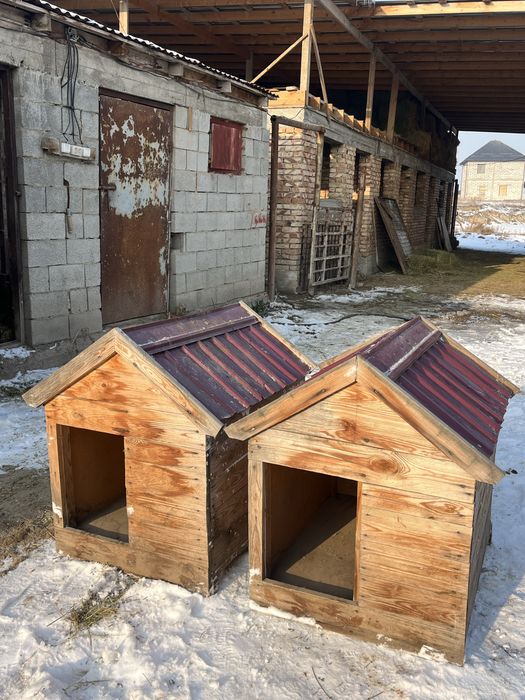 домик на собака.