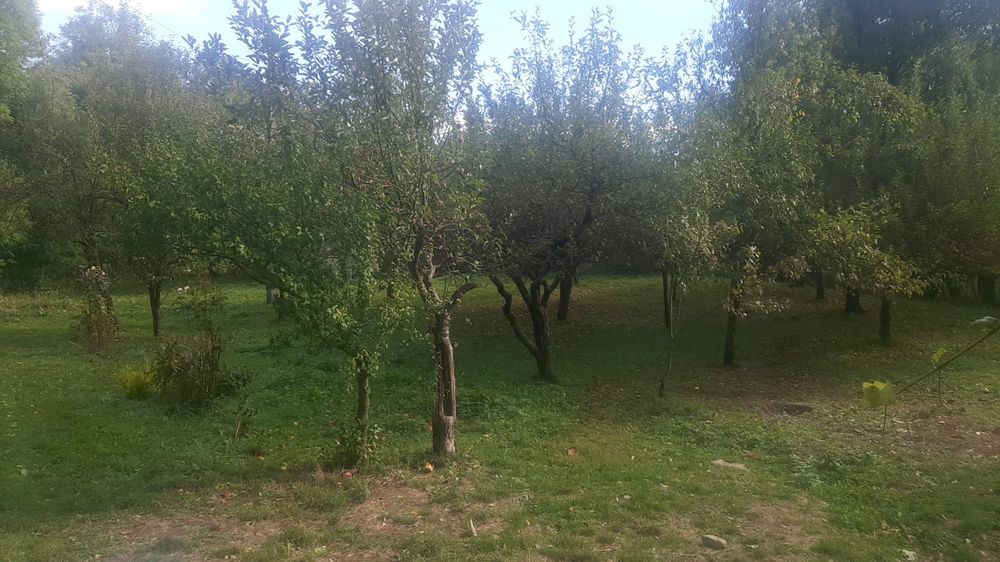 Închiriere casa plus teren 12000m2 pășune zona retrasa