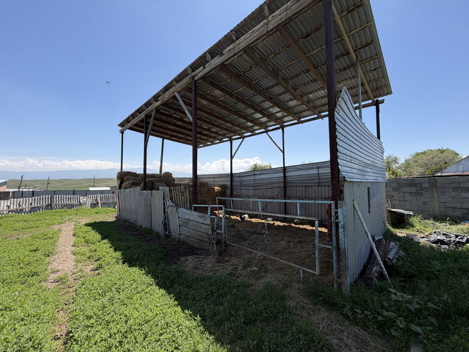Откорм сатылады