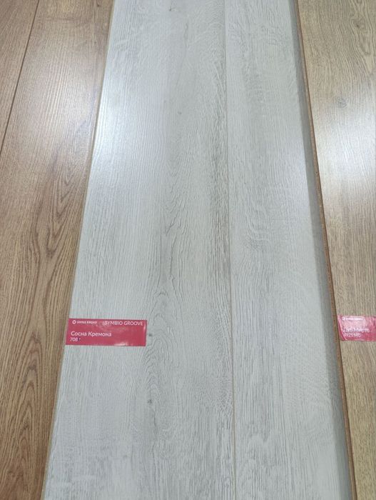 Tarket xitoy rossiya