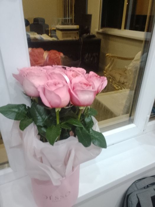 Продам цветы не дорого