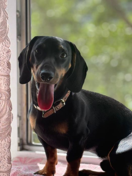 Предлагается для вязки кабель