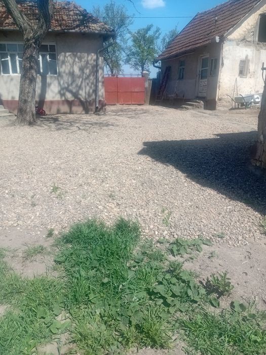 Casa de vanzare cermei