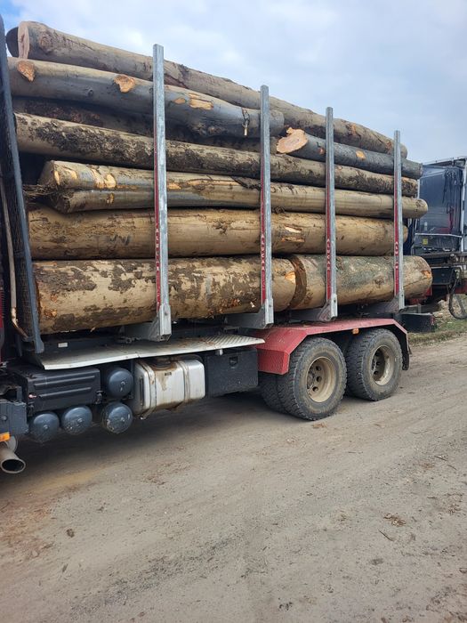 Lemn de foc fag si stejar, lemnul este și uscat