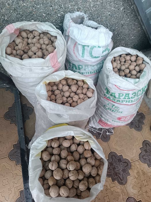 Продам греческие орехи