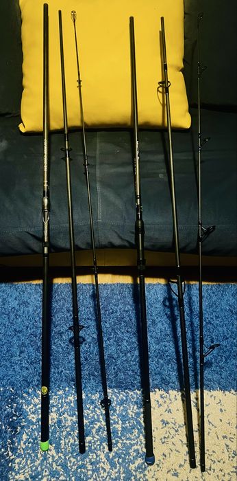 Set lansete pescuit la crap.