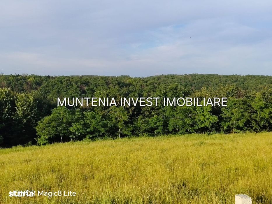 De vanzare 40.800 mp. teren, Calinesti