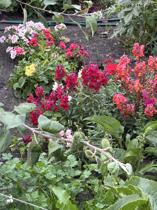 Продам дачу напротив Пестрого