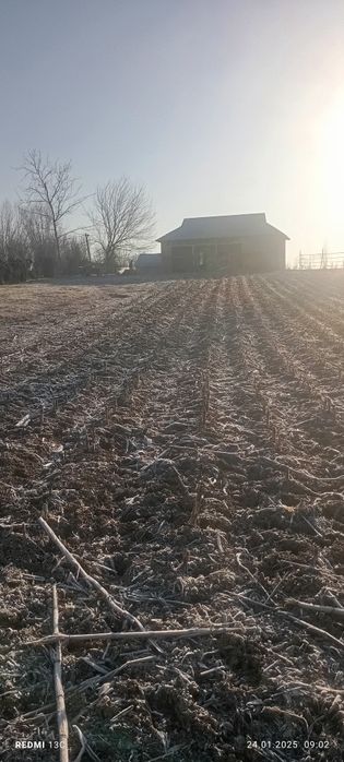 Бука МФЙ катта қалғансир кочаси 54 уй