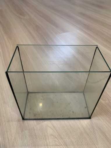 Аквариум бесплатно самовывоз