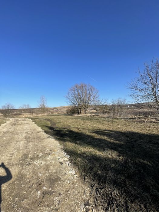 Teren intravilan 2150mp Tureni