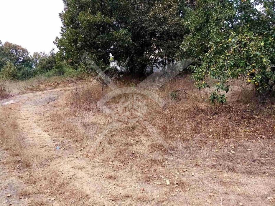 Продава се Парцел в с. Крушевец, Област Бургас - 651 кв.м за 9 €/кв.м - Снимка #1