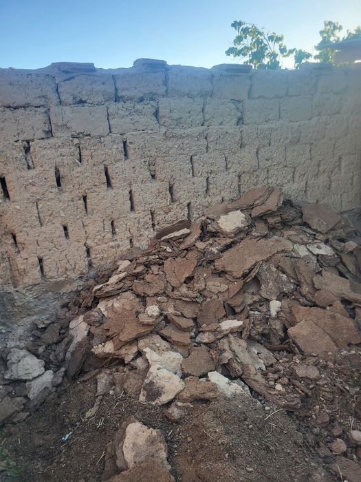 Ассалаумагалейкум Қойдын қиы мен гөңі бар. Былтыргы