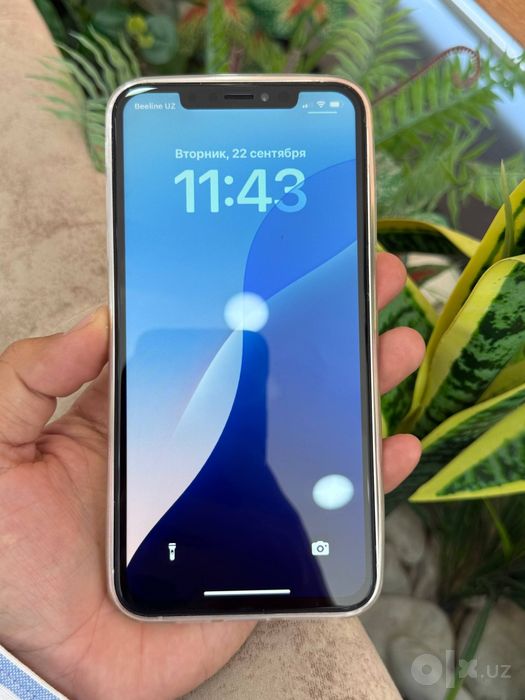 Iphone XS Max 16+ qilingan zur