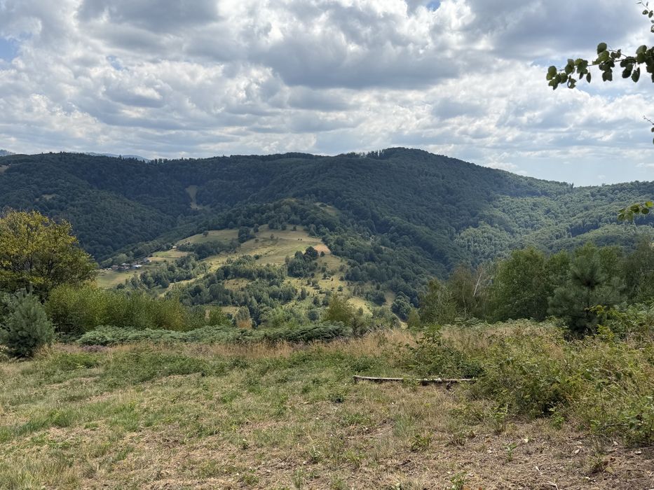 Teren în Damiș cu panoramă superbă spre Vlădeasa – altiudine 820 m, curent și apă la limită