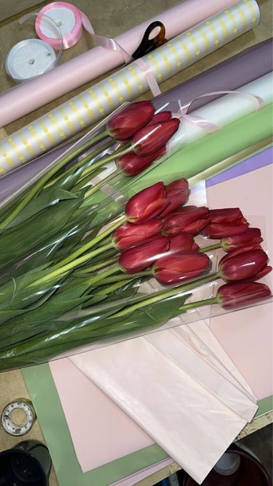 Тюльпаны предзаказ