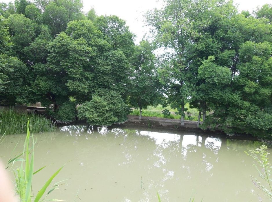 Ер орни, Фермерчилика молжаланган