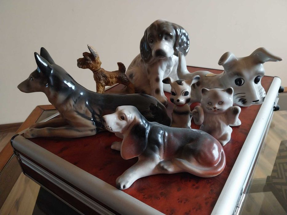 Porțelanuri deosebite -catelusi