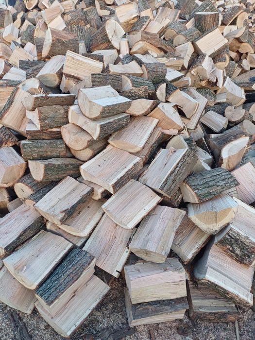 Lemn de foc stejar uscat 650lei tona