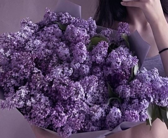 Апрельская сирень