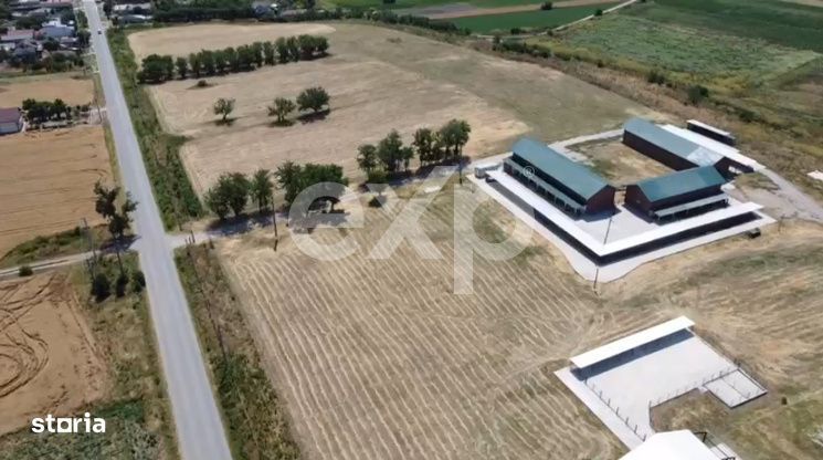Black Angus Farm with authorized Slaughterhouse