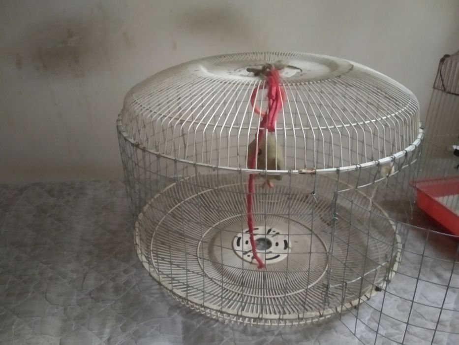 Клетка для птиц б у