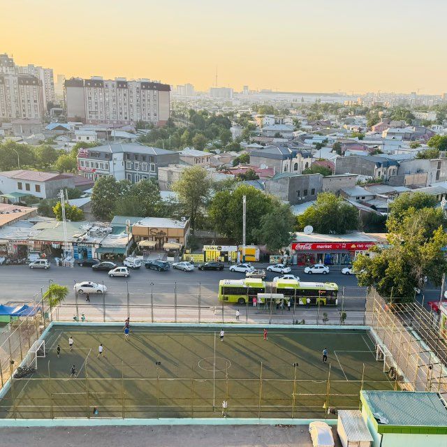 Gazon suniy o't gazon