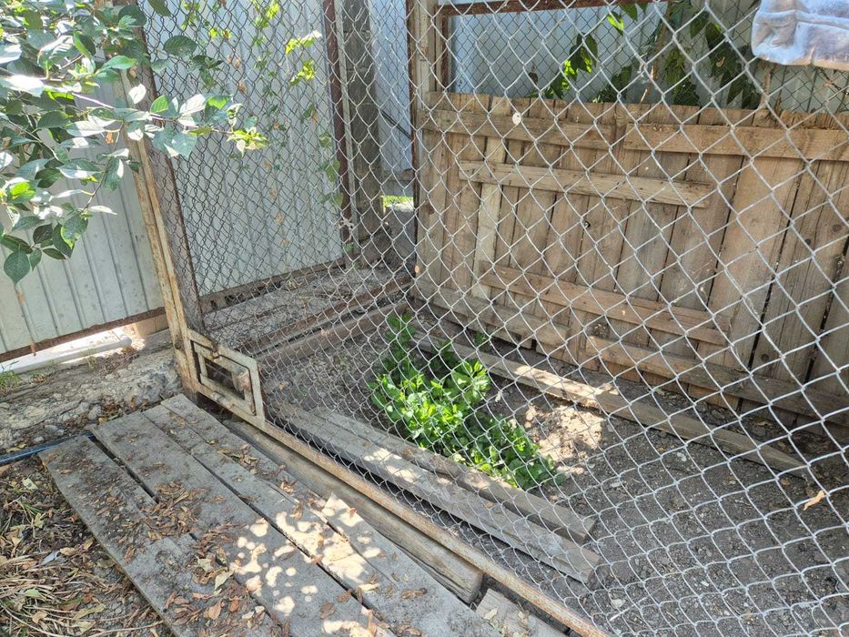 Вольер с будкой для собаки