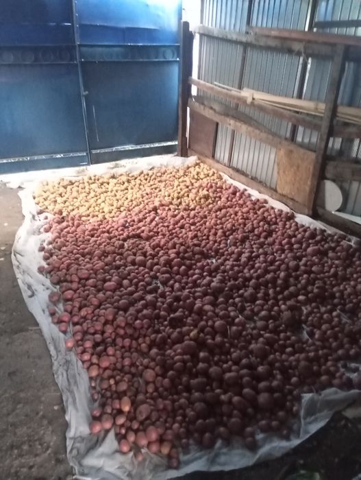 Продам дачу Черёмушки