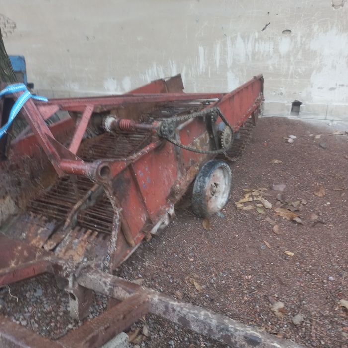 Kartoshka kólidigan sotiladi