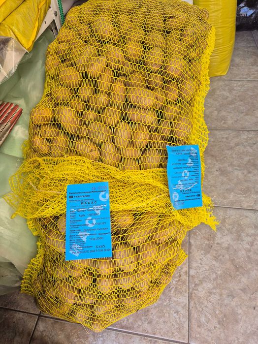 Сертифицирано семе картофи.Агата и Сорая. В чували по 10кг.