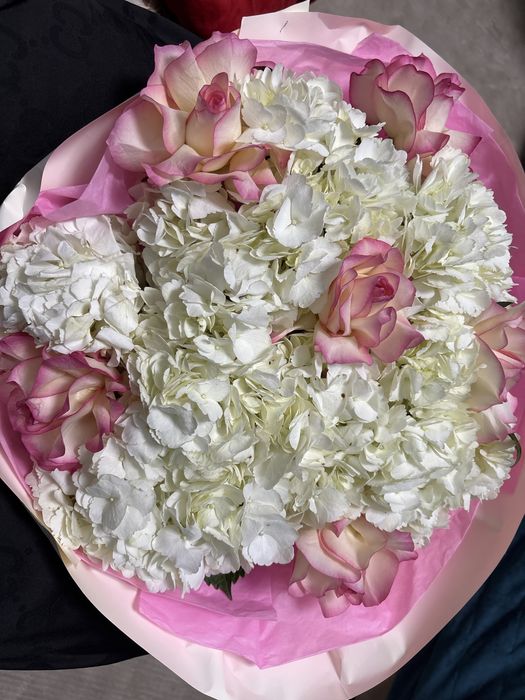 цветы свежие, новые