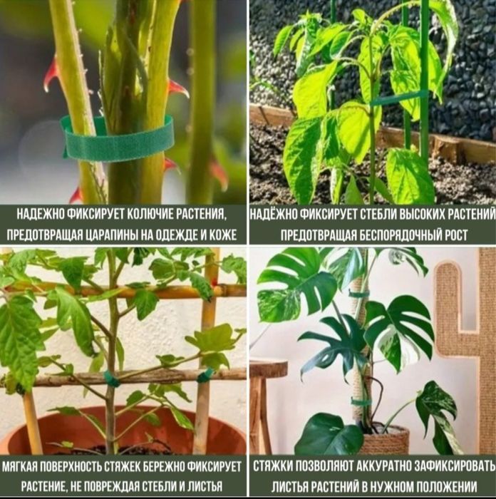 Хозяйственные работы в огороде