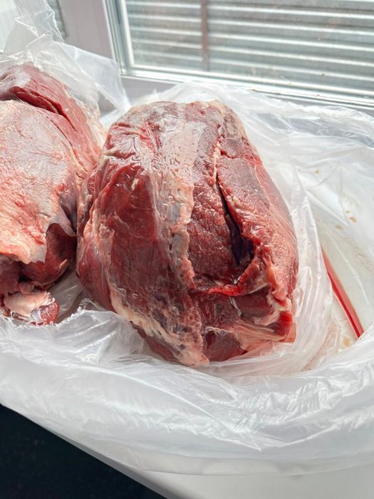 Говядина высший сорт односорт