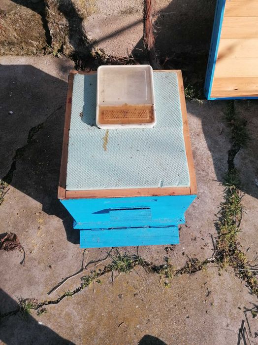 60 броя пчелни кошери Дадан Блат