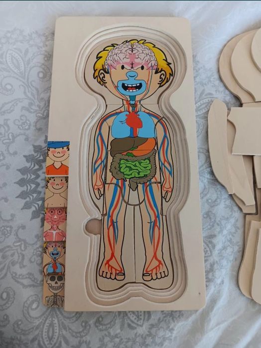 Joc puzzle corpul uman baiat anatomia umana ca nou anatomie