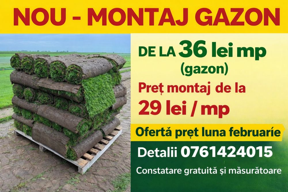 Montaj Gazon Natural