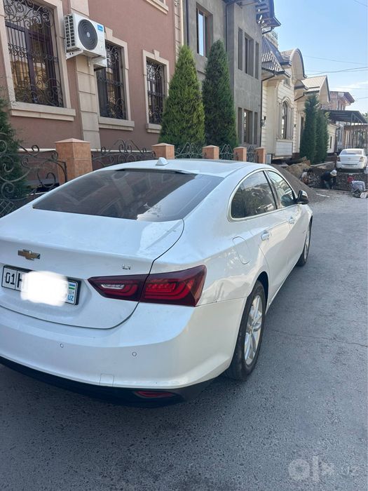 Malibu 2 2.4 Mator белый жемчуг
