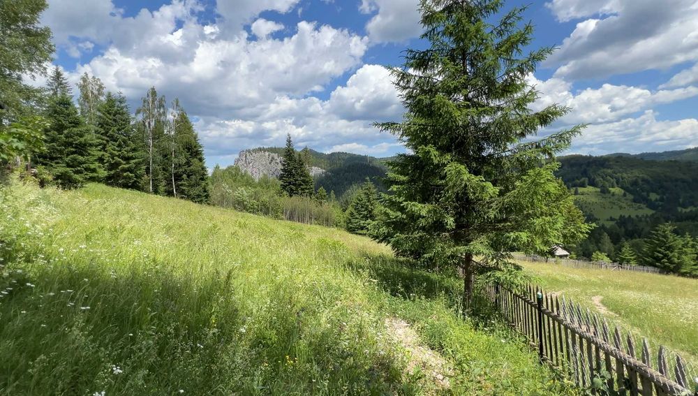 Teren Intravilan la Munte cu vedere panoramică