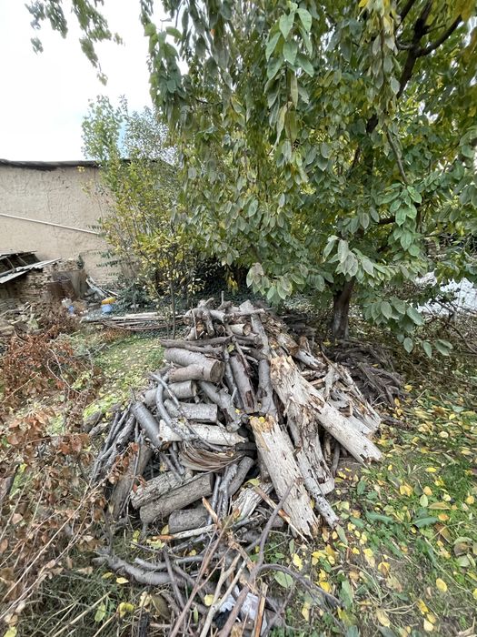 Otinlar bor sotiladi