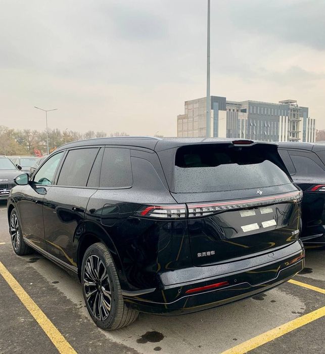 Donfeng ep 008 reystayling
Yili 2025