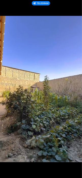 Участка квартира