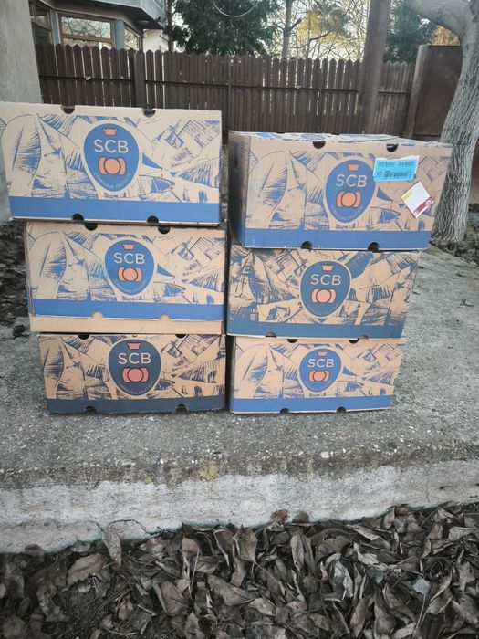 Baxuri, cutii de banane