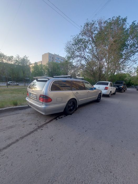 Живой японец 210 лупарь 3.2об. 7 мест