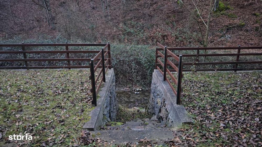 Casa/Pensiune,doua imobile „intr-unul singur” de vanzare,Bratca