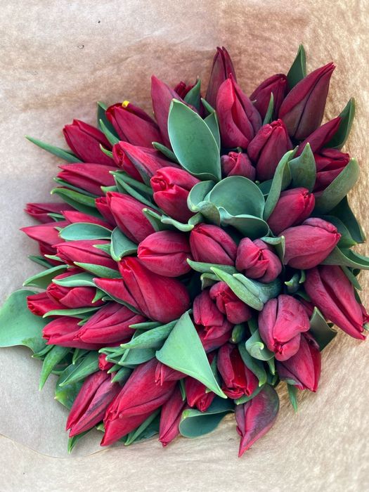 Тюльпаны оптом Алматы Астана