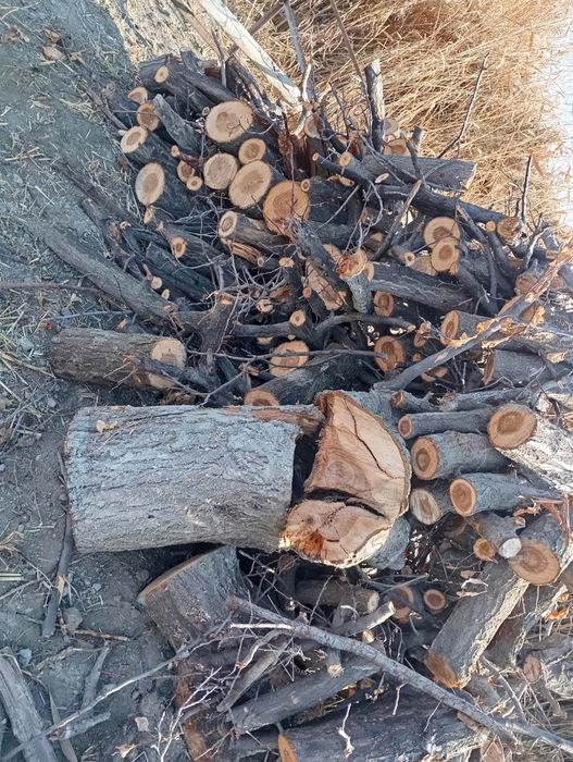 Zaldori oʻtin sotiladi